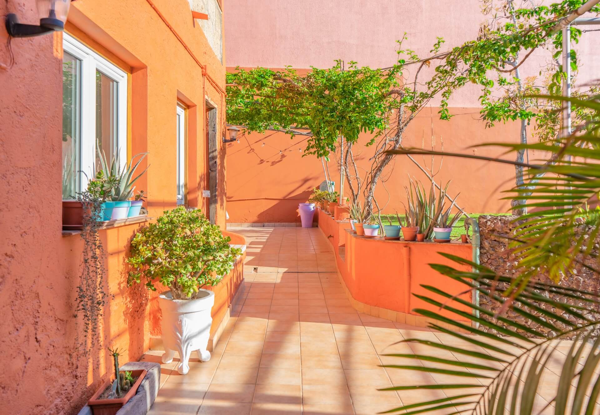 Giardino e zona BBQ