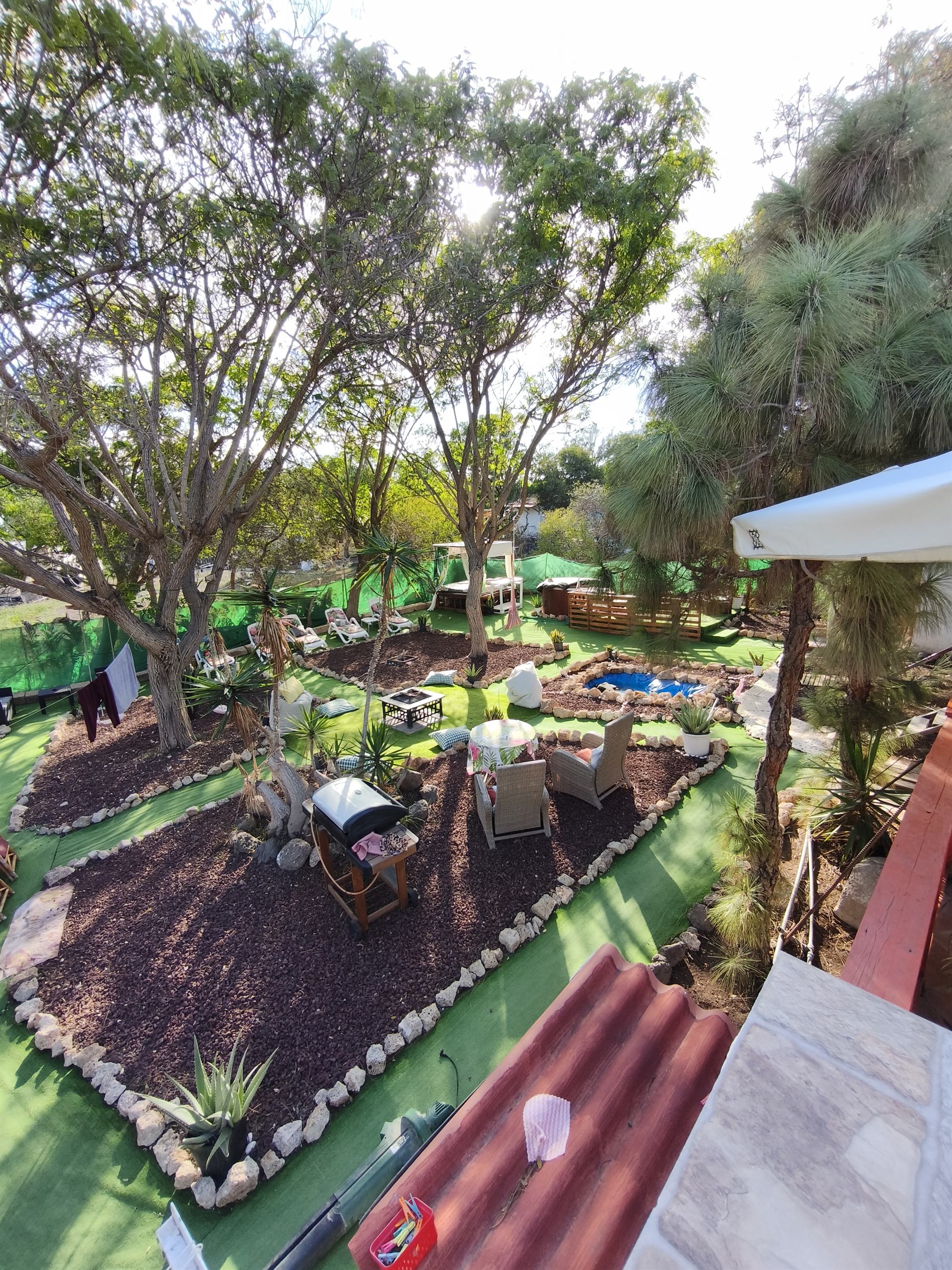Vista giardino con alberi