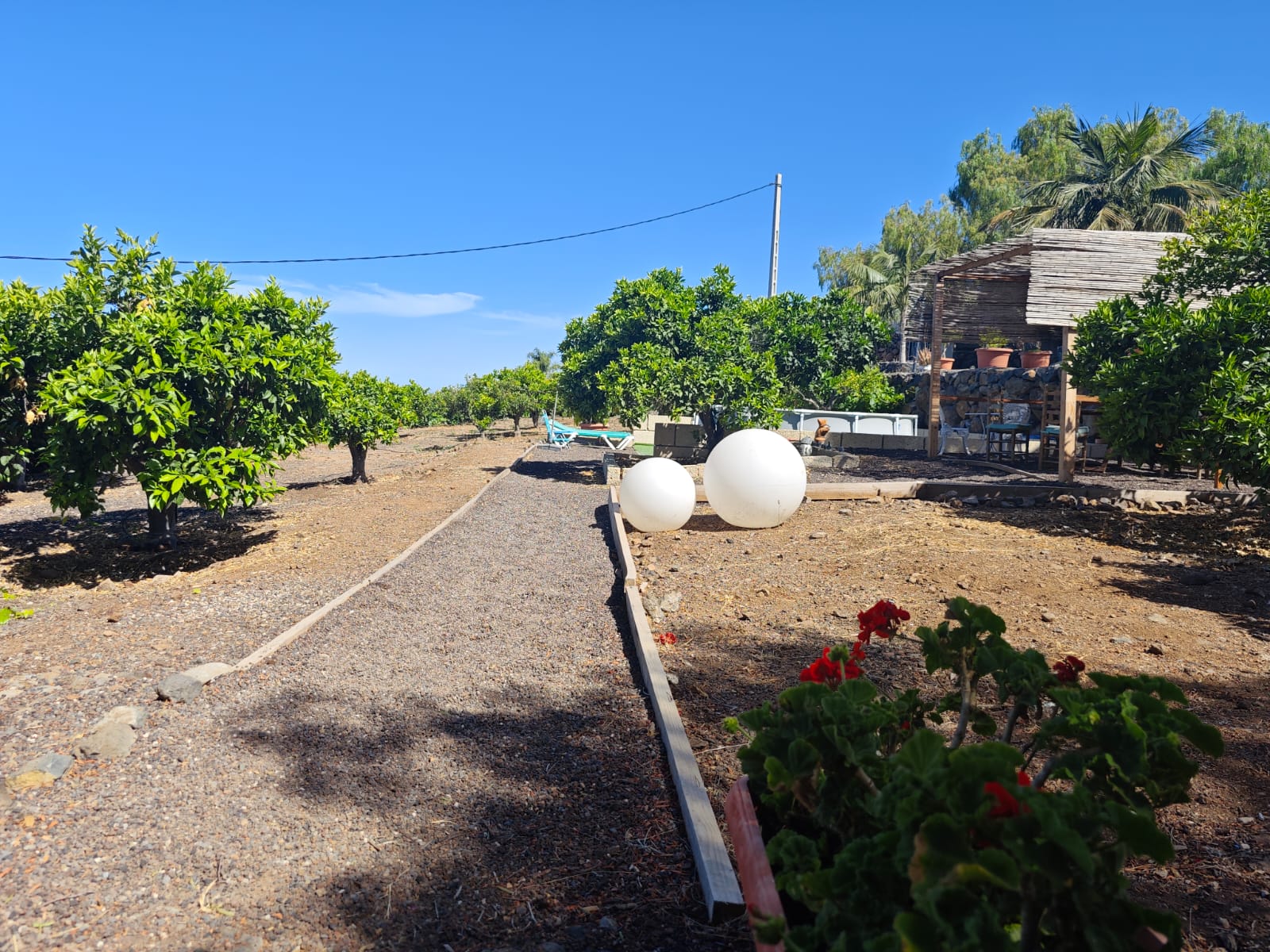 Vialetto e giardino