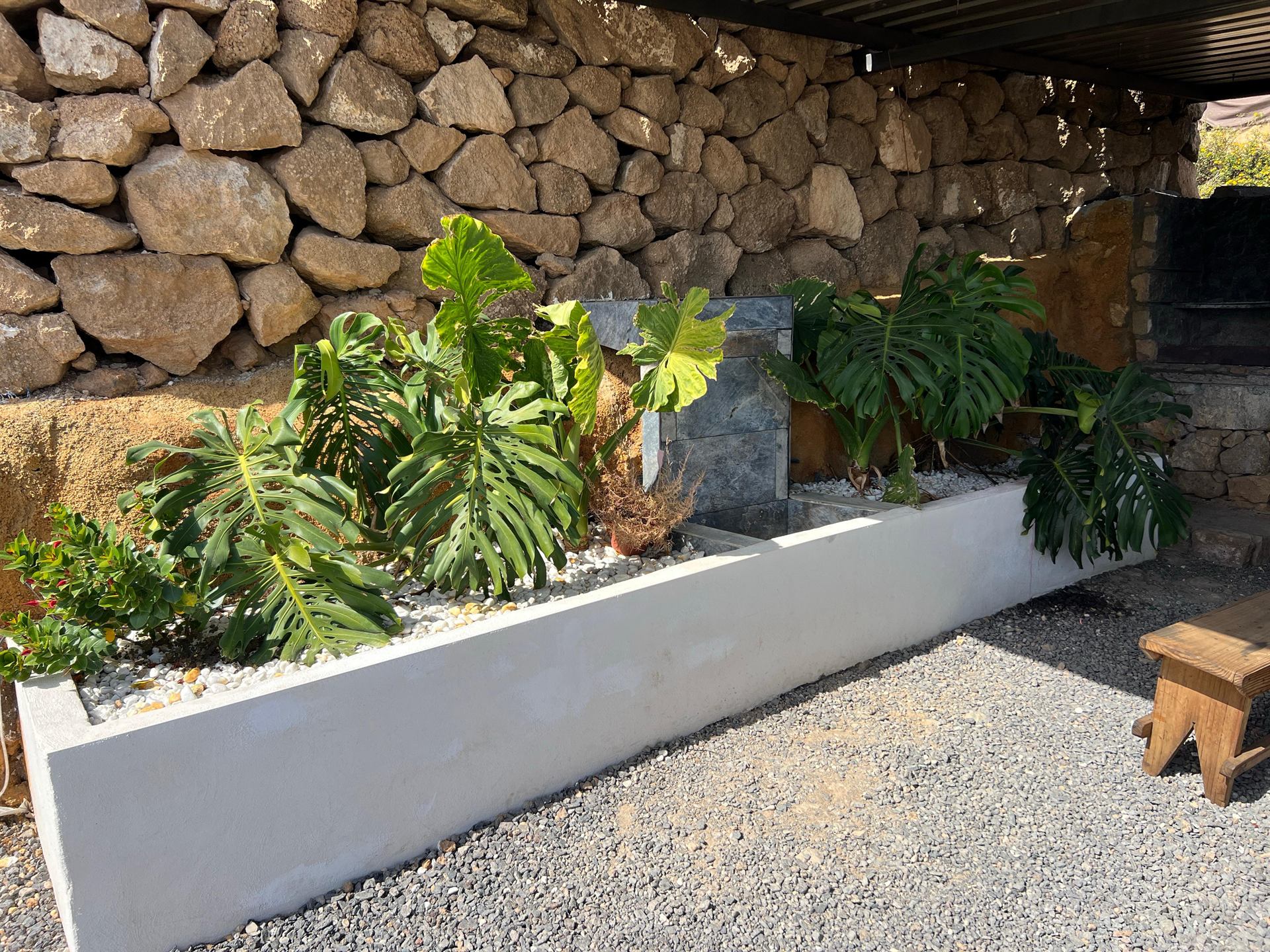 Giardino con piante tropicali