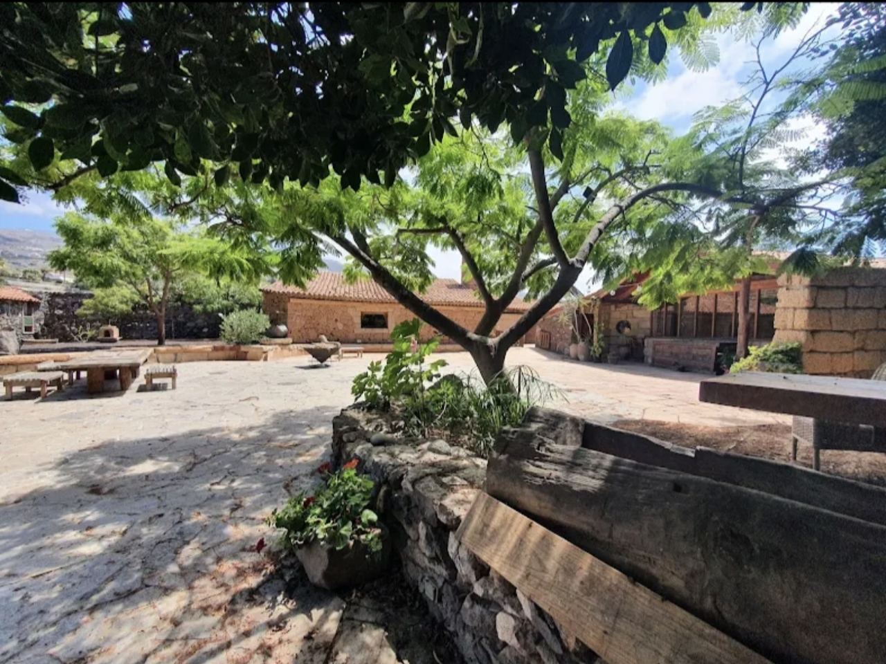 Giardino tropicale