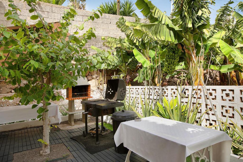 BBQ giardino tropicale