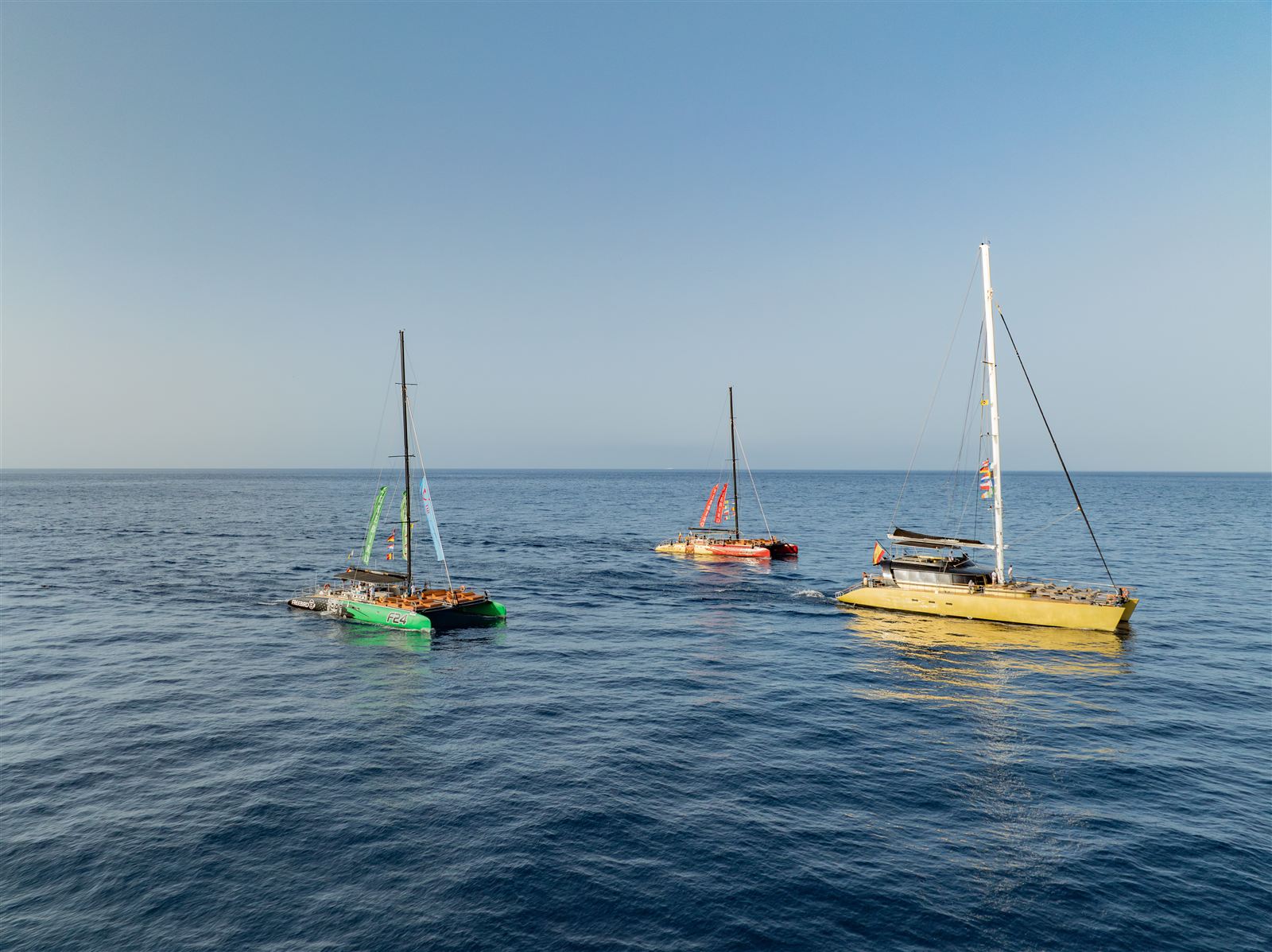 Whale Watching 4