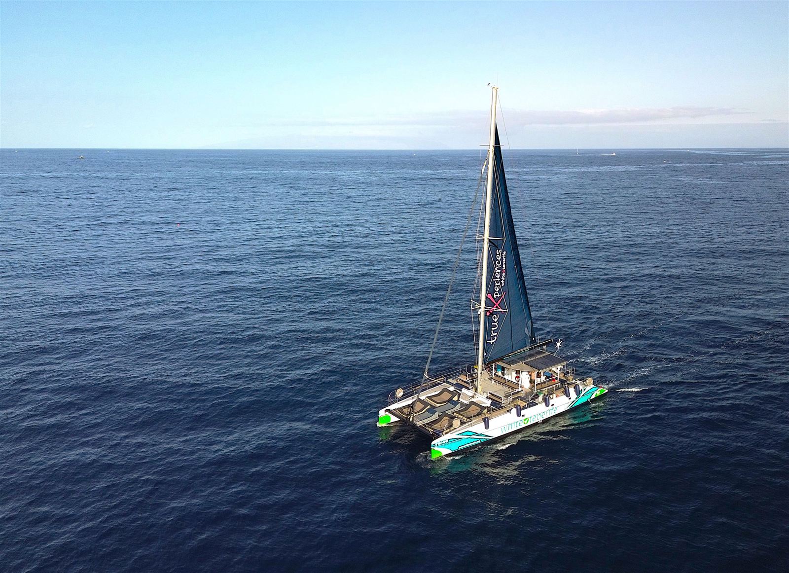 Whale Watching 12