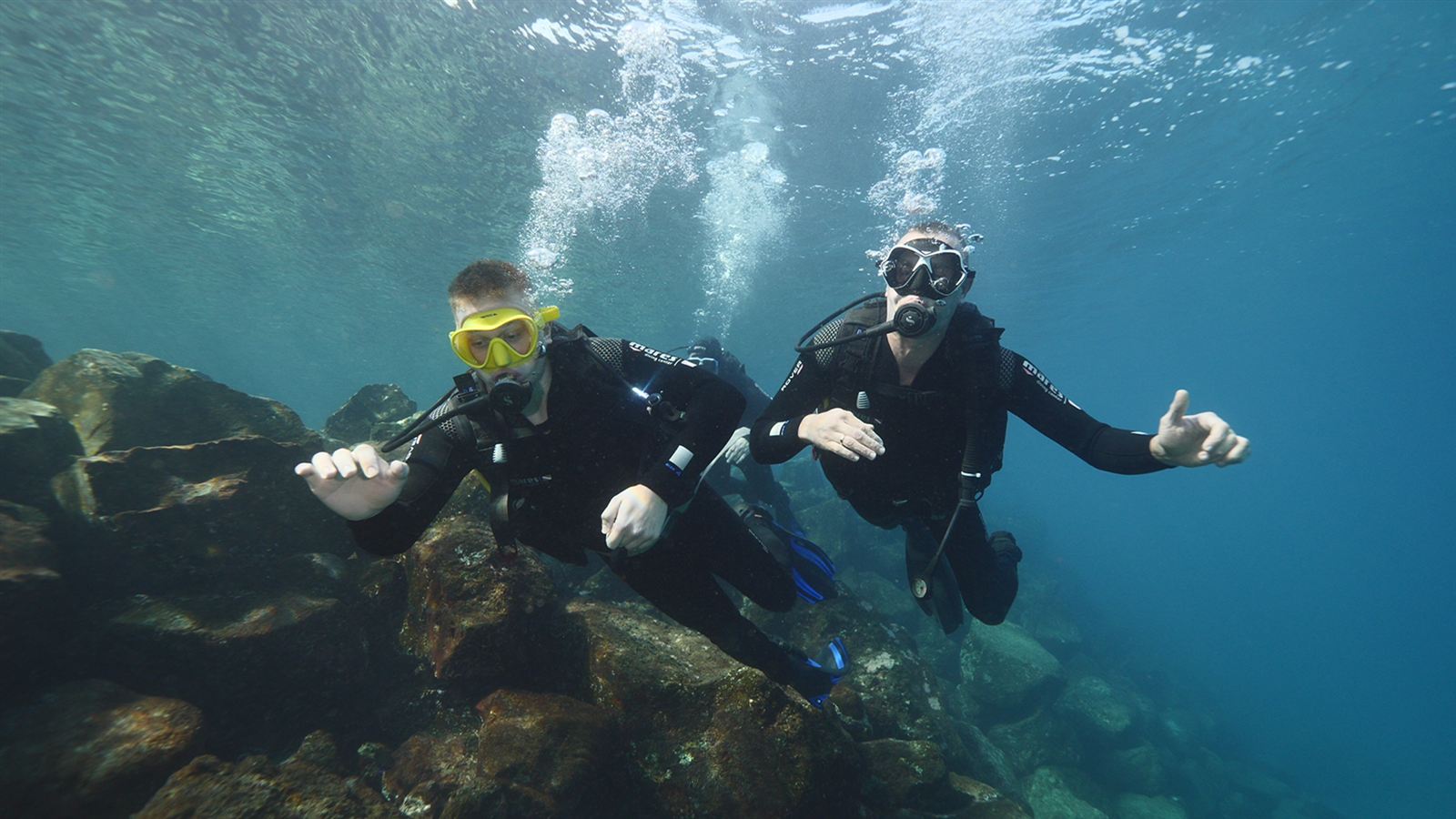 Diving 4