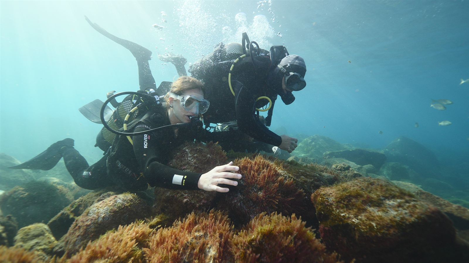 Diving 10