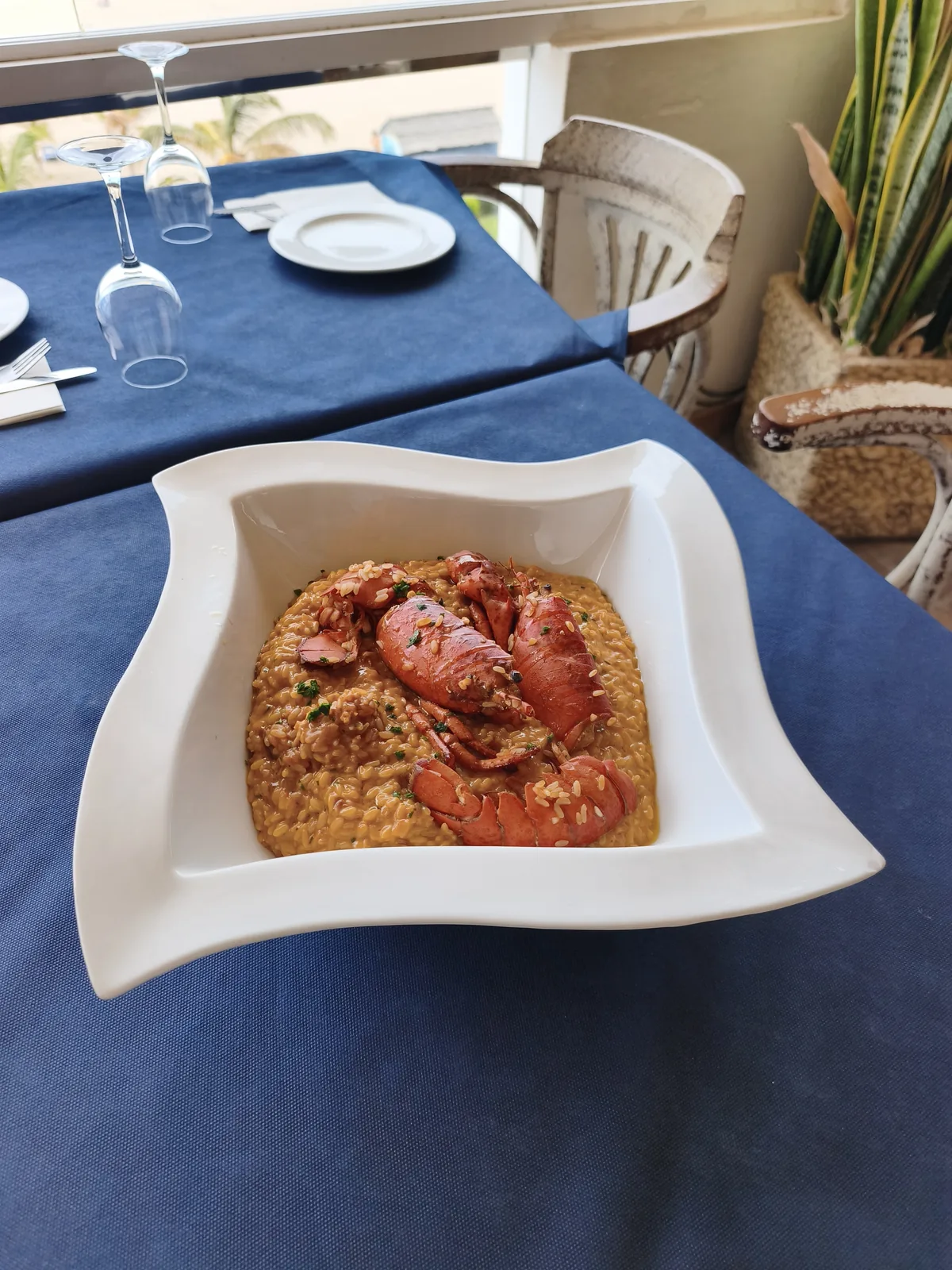 Momento Signature — arroz con bogavante