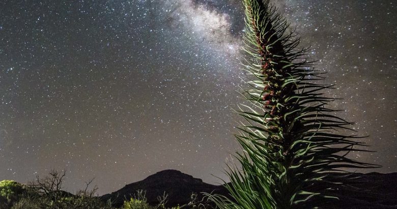 Stargazing al Teide