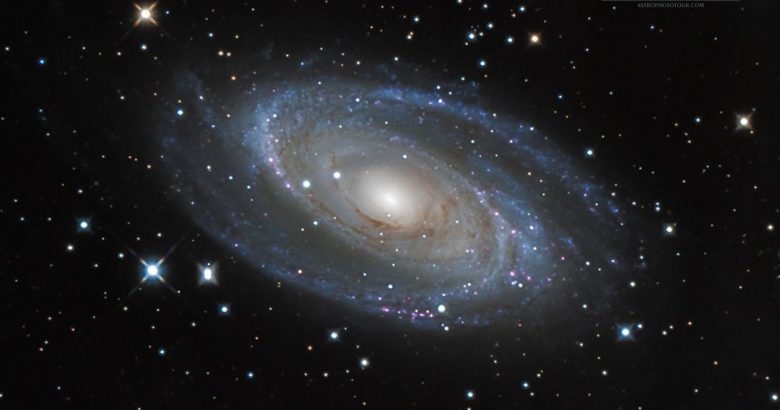 Stargazing 13